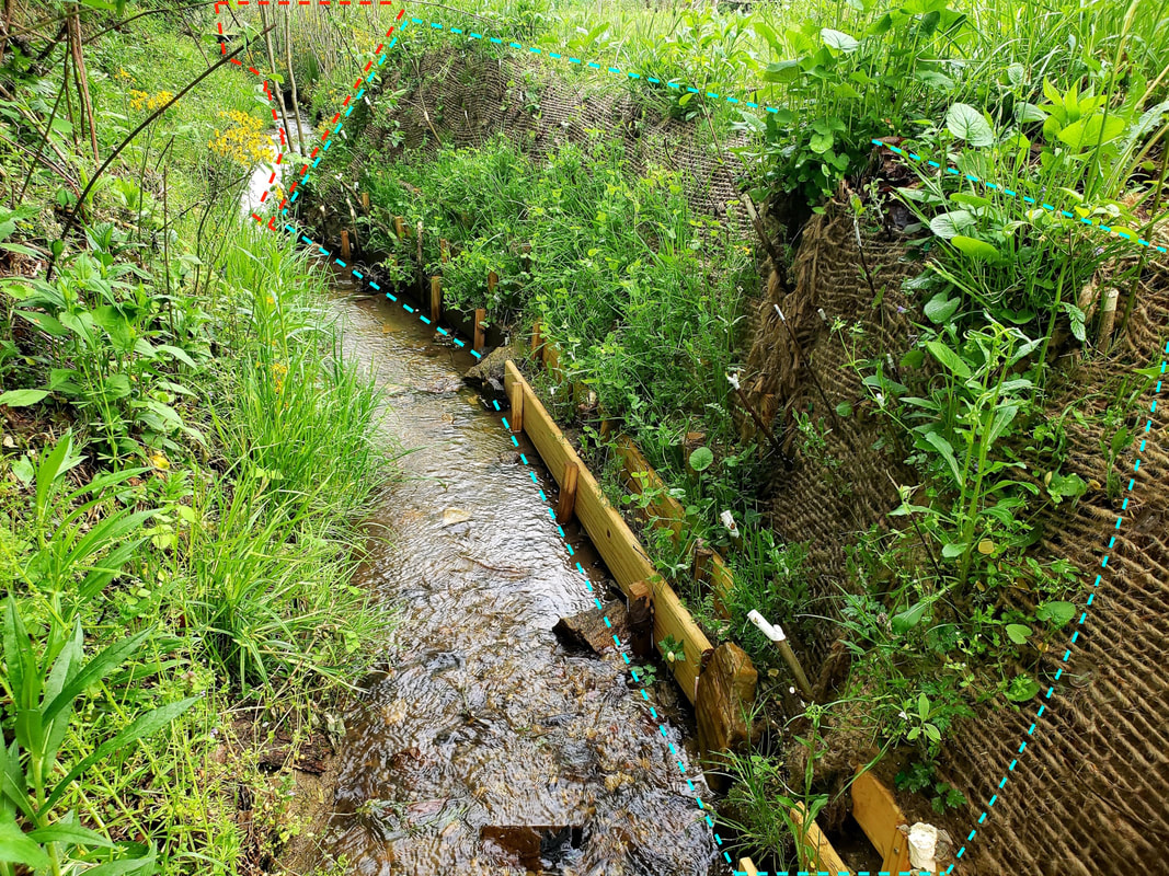 Picture of a streambank restoration project. Segments completed at different times are highlighted in red and teal.